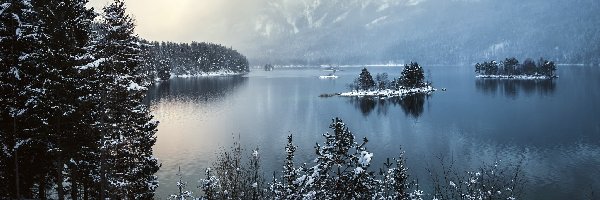 Góry, Zima, Alpy Bawarskie, Bawaria, Niemcy, Drzewa, Jezioro