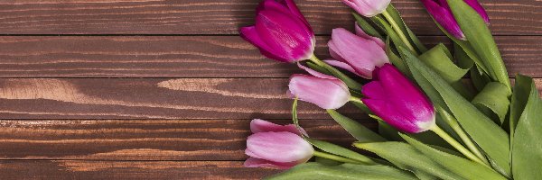Tulipany, Deski, Brązowe, Różowe