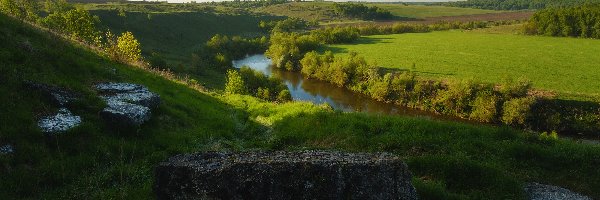 Rosja, Drzewa, Kamienie, Pola, Rzeka Osyotr, Obwód moskiewski, Zarajsk