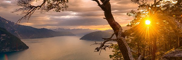 Drzewa, Okręg Sogn og Fjordane, Drzewo, Góry, Norwegia, Zachód słońca, Promienie słońca, Fiord Sognefjorden