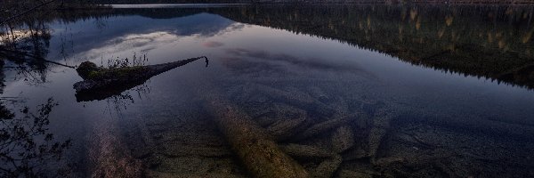 Rosja, Las, Wzgórza, Brzeg, Rzeka Kyume, Obwód murmański, Miejscowość Rikolatva