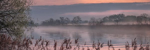 Rzeka Dubna, Wschód słońca, Łotwa, Łatgalia, Mgła, Drzewa, Trzciny, Poranek