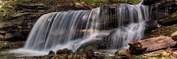 Kanada, Gmina Hamilton, Prowincja Ontario, Wodospad Lower Tews Falls, Strumień Logies Creek