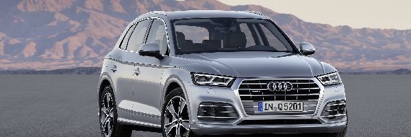 2017, Audi Q5 TFSI Quattro