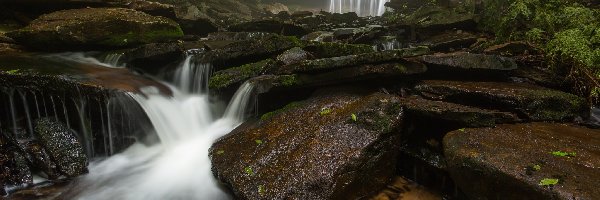 Potok Kitchen Creek, Stan Pensylwania, Kamienie, Rzeka, Park stanowy Ricketts Glen State Park, Wodospad Oneida Falls, Las, Stany Zjednoczone