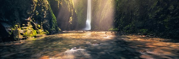 Skały, Kamienie, Wąwóz Oneonta, Rzeka Oneonta Creek, Wodospad Oneonta Gorge, Stany Zjednoczone, Stan Oregon, Roślinność, Rezerwat przyrody Columbia River