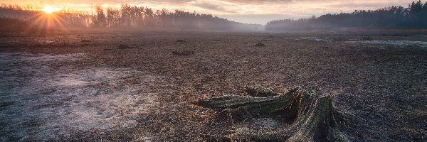 Chmury, Wschód słońca, Karcz, Pniak, Promienie słońca, Polana, Karczowisko, Mgła