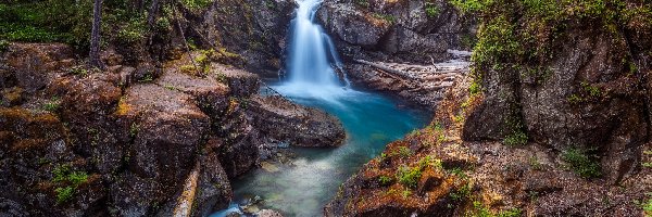 Stany Zjednoczone, Park Narodowy Mount Rainier, Skały, Rzeka Ohanapecosh River, Las, Stan Waszyngton, Roślinność