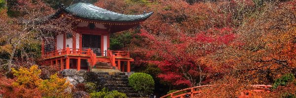 Świątynia Benten-dō, Kioto, Drzewa, Jesień, Kompleks świątynny Daigo-ji, Mostek, Staw, Japonia