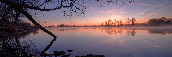 Łotwa, Kamienie, Drzewa, Brzeg, Rzeka Dubna, Łatgalia, Wschód słońca