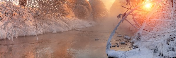 Zima, Drzewa, Rzeka, Wschód słońca, Śnieg