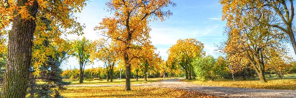 Park, Liście, Alejka, Jesień