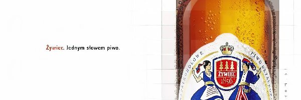 Piwo Żywiec, Piwo