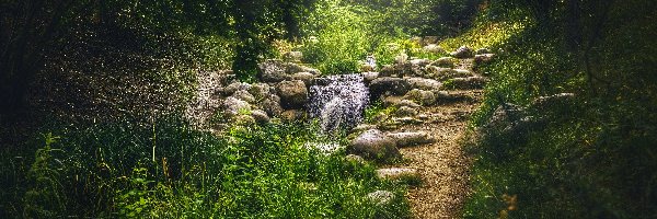 Drzewa, Park Britzer Garten, Dróżka, Berlin, Niemcy, Strumyk, Kamienie