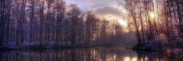 Las, Słońca, Zachód, Rzeka