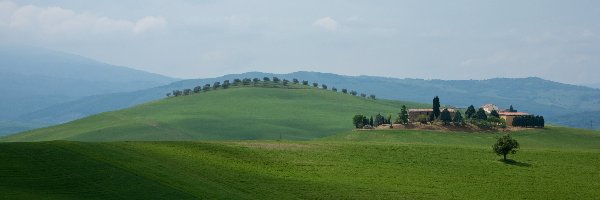 Toskania, Drzewa, Góry, Włochy, Domy, Łąki