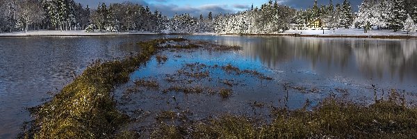 Śnieg, Trawa, Drzewa, Domki, Jezioro, Zima