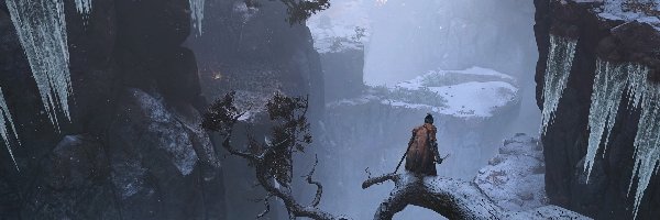Wojownik, Góry, Konar, Sekiro, Sekiro Shadows Die Twice, Gra