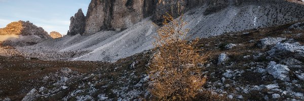 Dolomity, Góry, Tre Cime di Lavaredo, Włochy, Kamienie, Drzewo