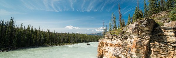 Drzewa, Park Narodowy Jasper, Rzeka Athabaska, Skały, Prowincja Alberta, Kanada