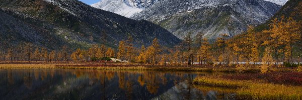 Drzewa, Góry Kołymskie, Rosja, Obwód magadański, Odbicie, Jezioro Jack London, Kołyma, Jesień