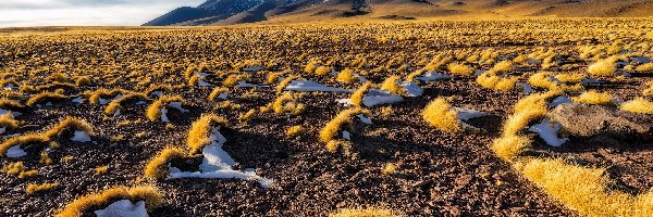 Gmina San Pedro de Atacama, Pustynia Atakama, Kamienie, Trawa, Region Antofagasta, Góra, Kępki, Chile