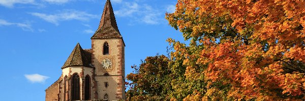 Francja, Kościół św. Jakuba Majora, Miejscowość Hunawihr, Drzewa, Church Saint Jacques le Majeur