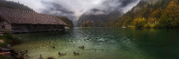 Alpy Berchtesgadeńskie, Bawaria, Kaczki, Dom, Jezioro Königssee, Góry, Mgła, Niemcy