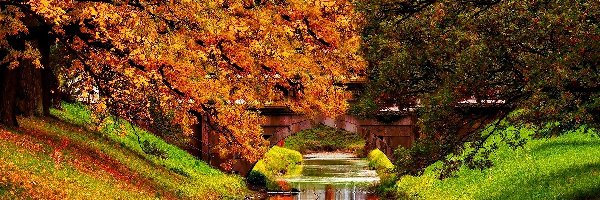 Jesień, Rzeka, Drzewa, Odbicie, Most
