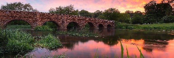 Drzewa, Most White Mill, Wieś Sturminster Marshall, Hrabstwo Dorset, Anglia, Zachód słońca, Roślinność, Rzeka Stour, Trawy