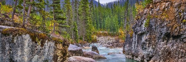 Góry, Prowincja Kolumbia Brytyjska, Kamienie, Skały, Strumień Tokumm Creek, Rzeka, Park prowincjonalny Marble Canyon, Park Narodowy Kootenay, Kanada, Drzewa