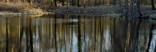 Odbicie, Staw, Park