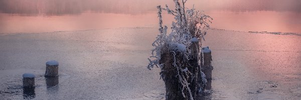 Drzewa, Zima, Mgła, Oszronione, Rosja, Rośliny, Jezioro Szaturskie, Obwód moskiewski, Pale, Zachód słońca, Shatura