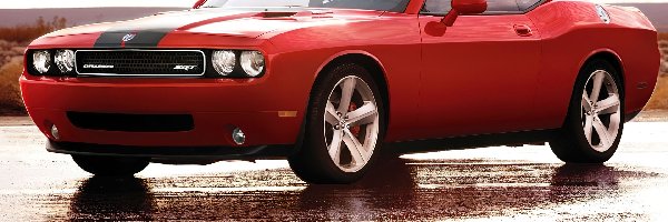 Czarne, Alufelgi, Pasy, Dodge Challenger