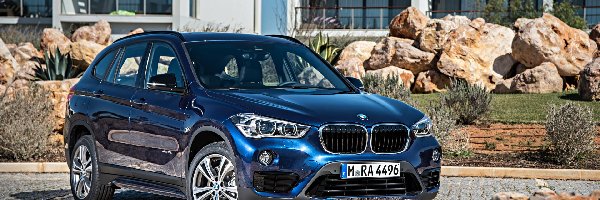 2015, BMW X1 xDrive25i F48