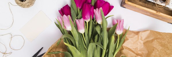 Kwiaty, Tulipany, Bukiet, Sznurek, Nożyczki