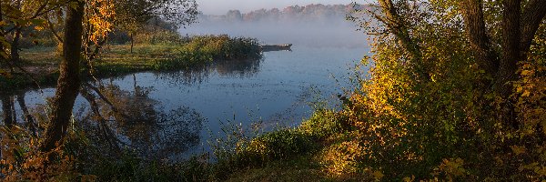 Mgła, Rośliny, Drzewa, Jezioro