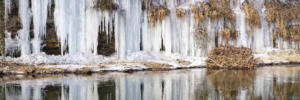 Zima, Trawy, Sople, Rzeka, Rośliny