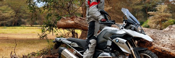 BMW R1200GS, Drzewa, Motocyklista, Motocykl