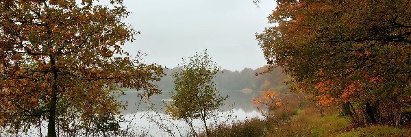 Rzeka, Ławeczka, Mgła, Park
