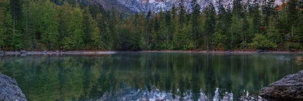 Odbicie, Góry Alpy, Jezioro Großer Ödsee, Górna Austria, Austria, Kamienie, Las