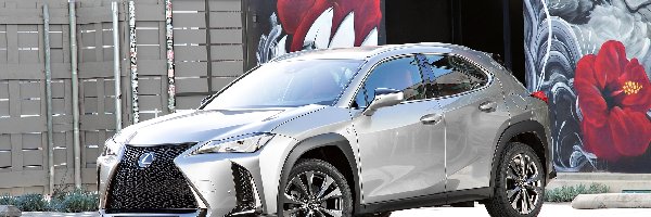 Ogrodzenie, Ściana, Kolorowa, Lexus UX200