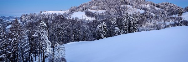 Góry, Zima, Śnieg, Las