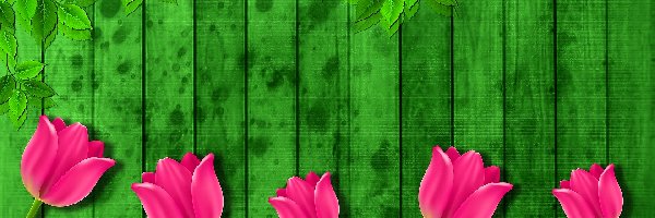 Zielone, Różowe, 2D, Łańcuch, Tulipany, Listki, Deski, Kwiat