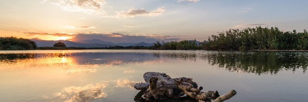 Drzewa, Zachód słońca, Korsyka, Gmina Aleria, Jezioro Etang del Sale, Drzewa, Konar, Francja, Suchy