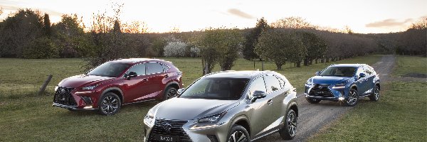 Lexus NX, Samochody, Trzy