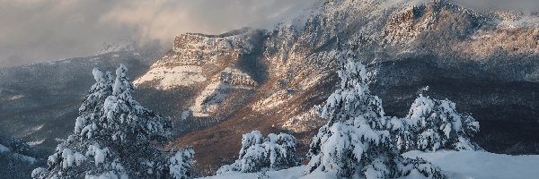 Zima, Drzewa, Góry, Mgła, Chmury