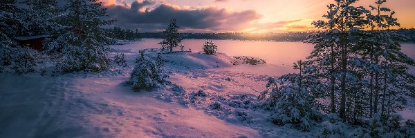 Las, Jezioro, Zima, Gmina Ringerike, Norwegia, Budynek, Drewniany, Zachód słońca, Drzewa