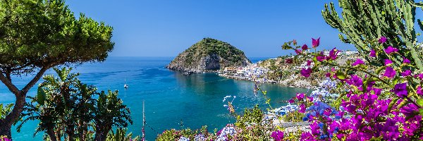 Roślinność, Wyspa Ischia, Wybrzeże, Zatoka Neapolitańska, Włochy, Kwiaty, Morze Tyrreńskie
