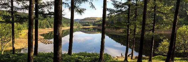 Drzewa, Hrabstwo Derbyshire, Anglia, Dolina Upper Derwent Valley, Park Narodowy Peak District, Wzgórza, Rzeka Derwent